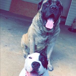 Meet your Posher, Colton